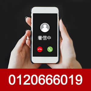 0120666019