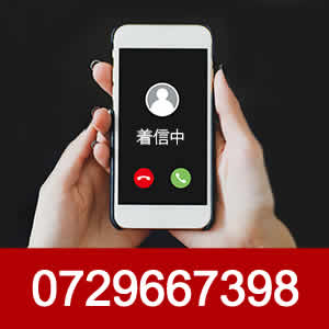 0729667398